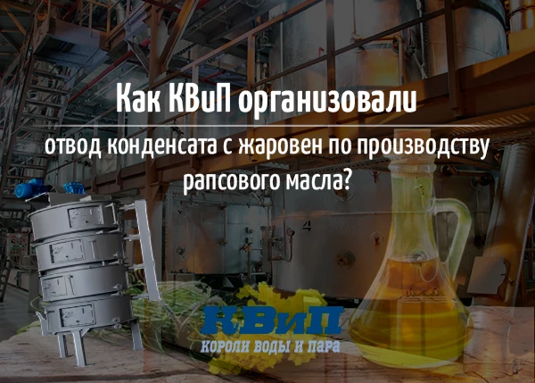 Как КВиП организовали отвод конденсата с жаровен по производству рапсового масла